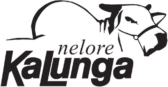 Nelore Kalunga